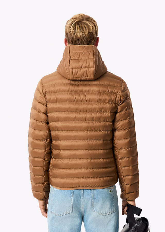 Lacoste Jassen Puffer jacket - dark tate