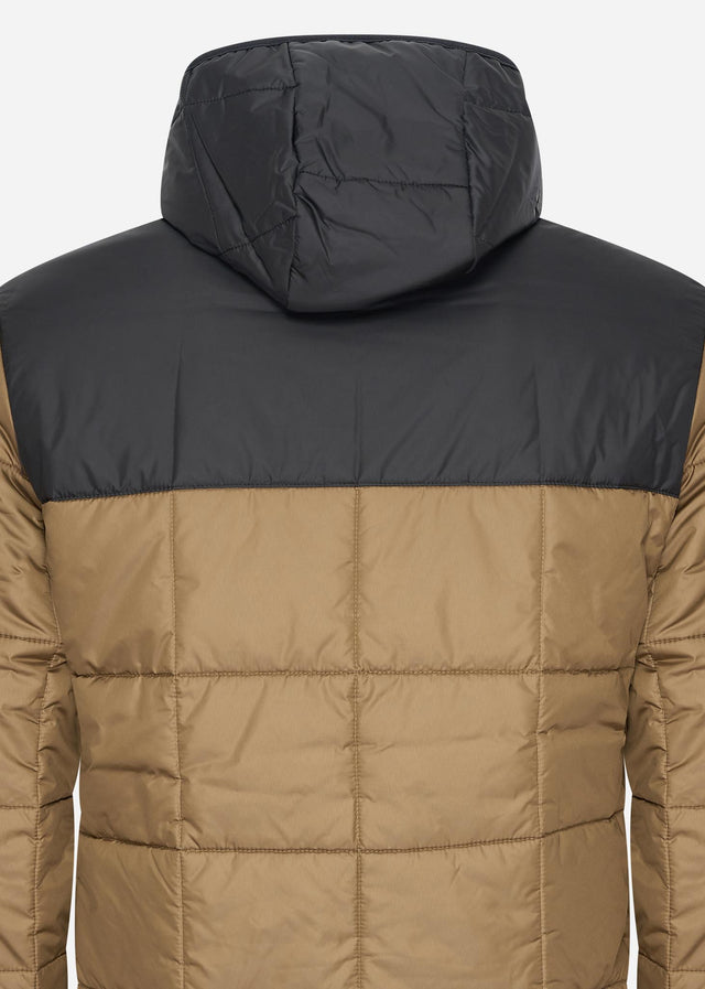 Lacoste Jackets Puffer jacket - cookie black