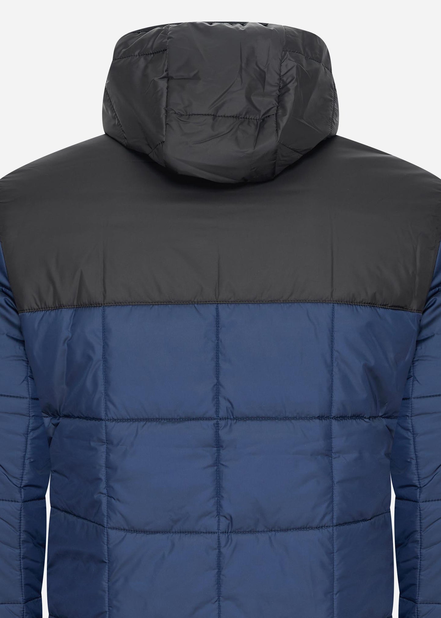 Lacoste Jassen  Puffer jacket - navy blue black 