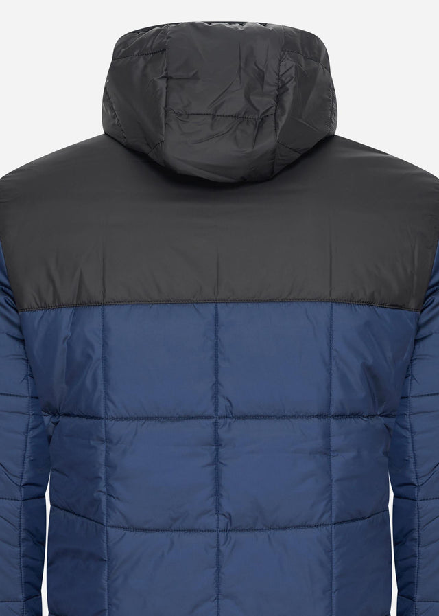 Lacoste Jackets Puffer jacket - navy blue black
