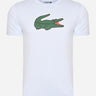 Lacoste T-shirts Tee logo - phoenix blue green white