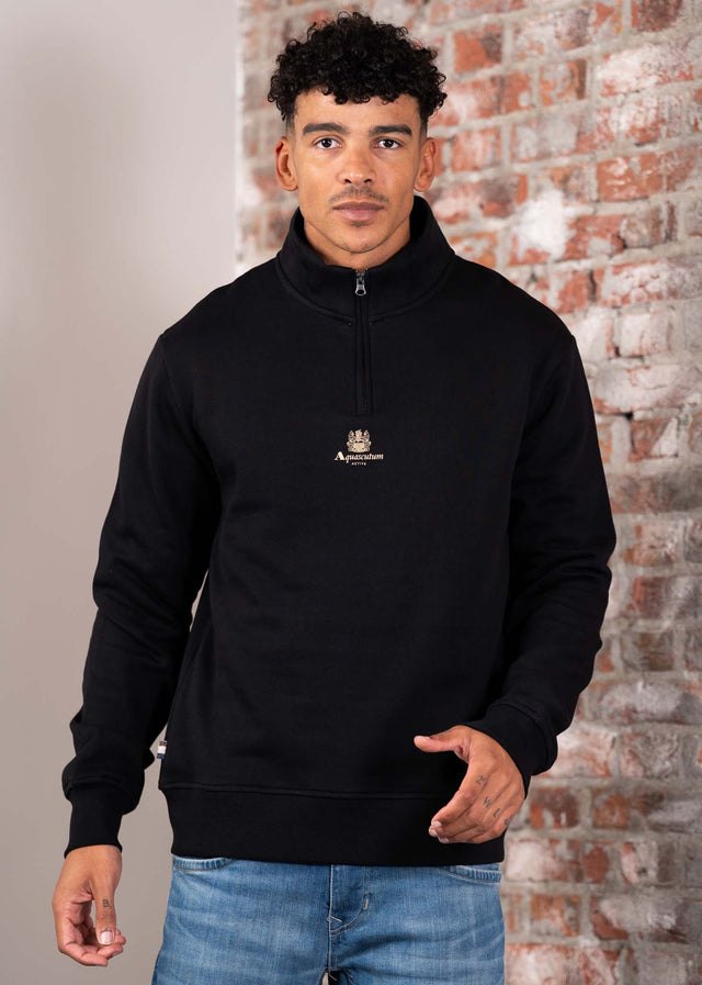 Aquascutum Sweaters Centered logo quarter zip fleece - black