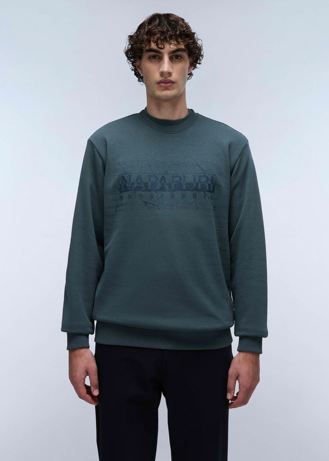 Napapijri Sweaters Albula crewneck sweater - green urban