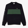Lacoste Truien Colorblock sweater - abysm sequoia