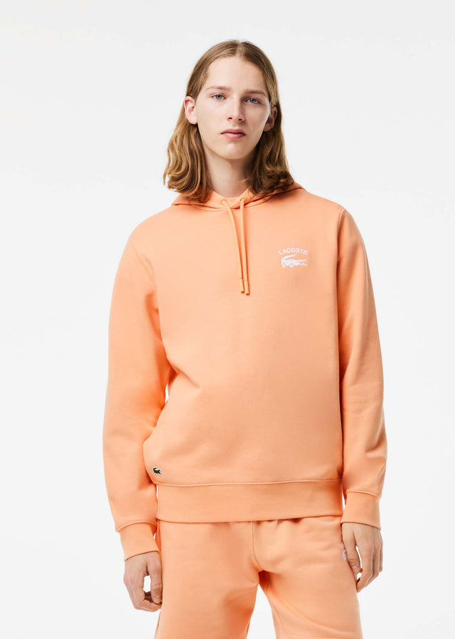 Lacoste Hoodies Branded hoodie - ledge