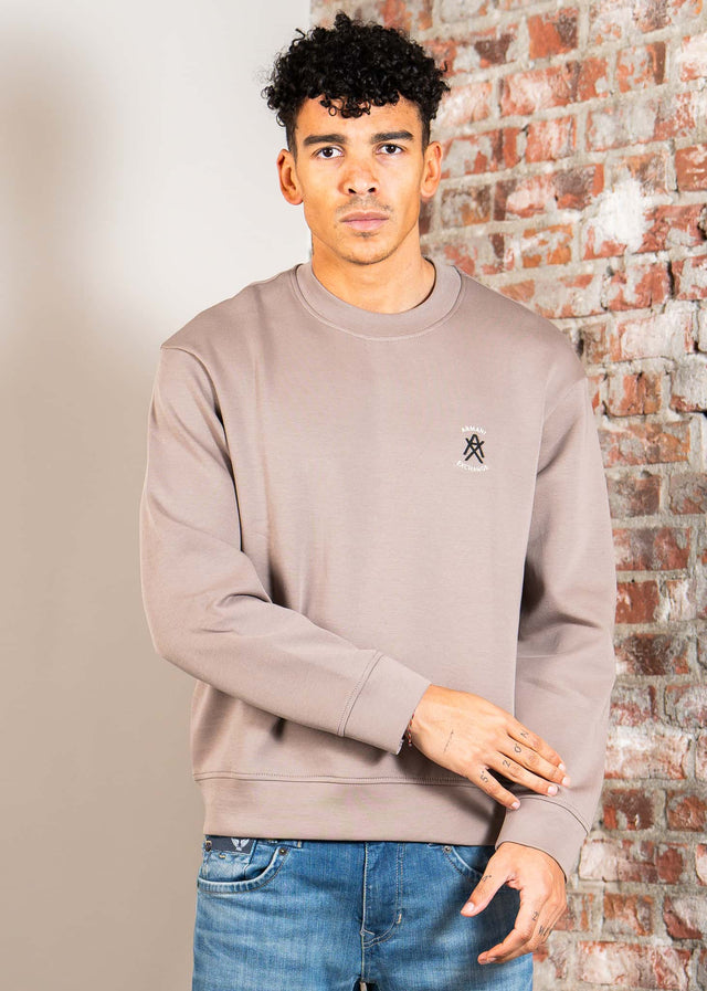 Armani Exchange Truien Felpa sweatshirt - driftwood