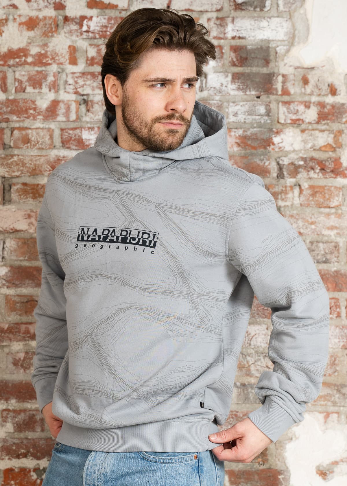 Napapijri Hoodies Cellini hoodie - aop