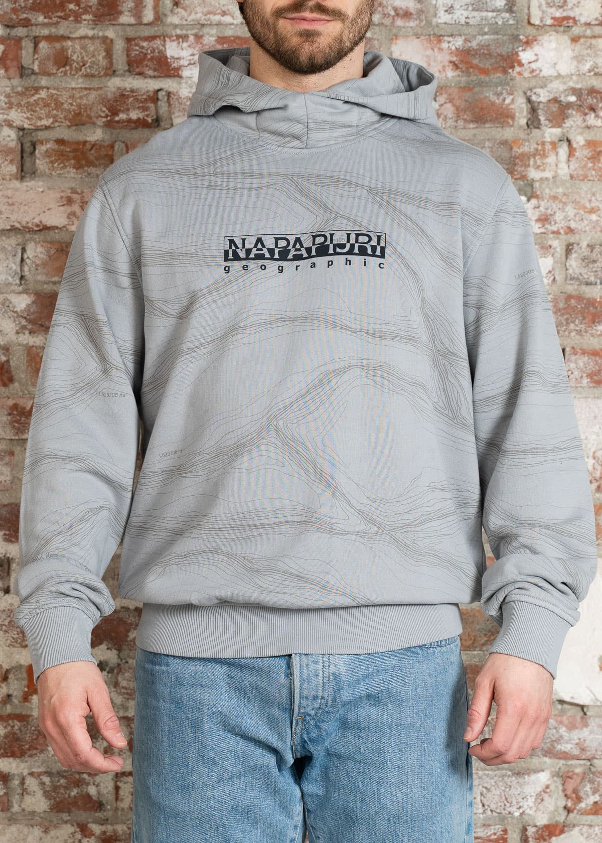 Napapijri Hoodies Cellini hoodie - aop