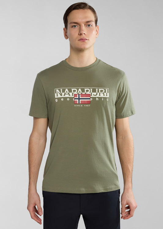 Napapijri T-shirts  Aylmer t-shirt - green lichen 