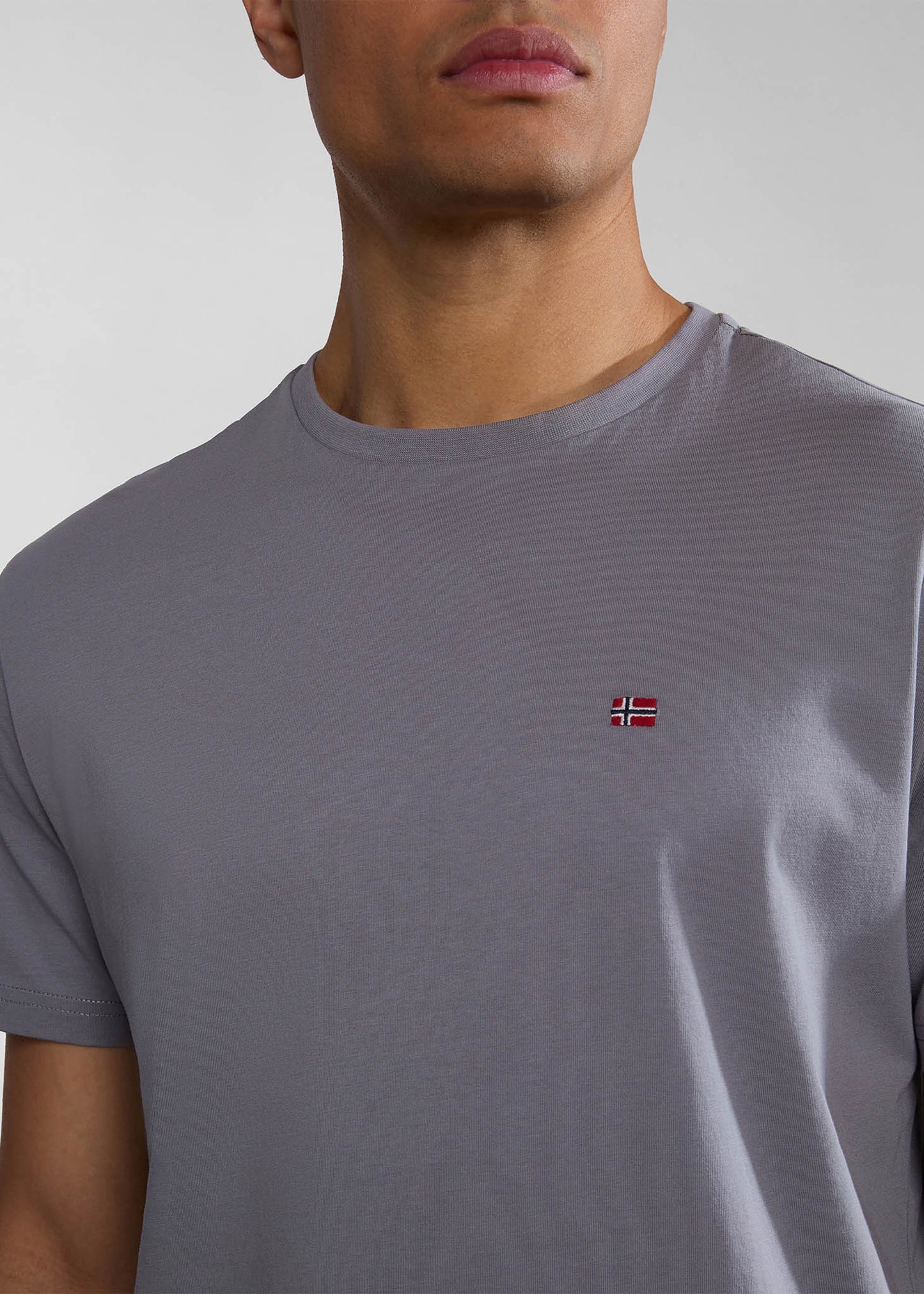 Napapijri T-shirts Salis ss sum t-shirt - grey owl