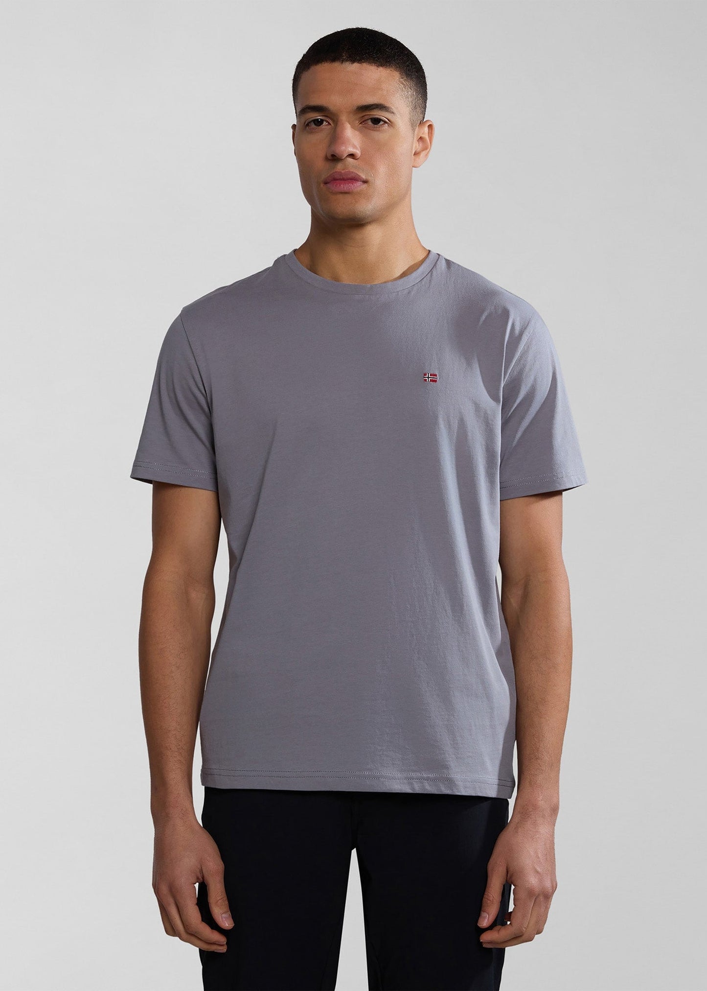 Napapijri T-shirts Salis ss sum t-shirt - grey owl