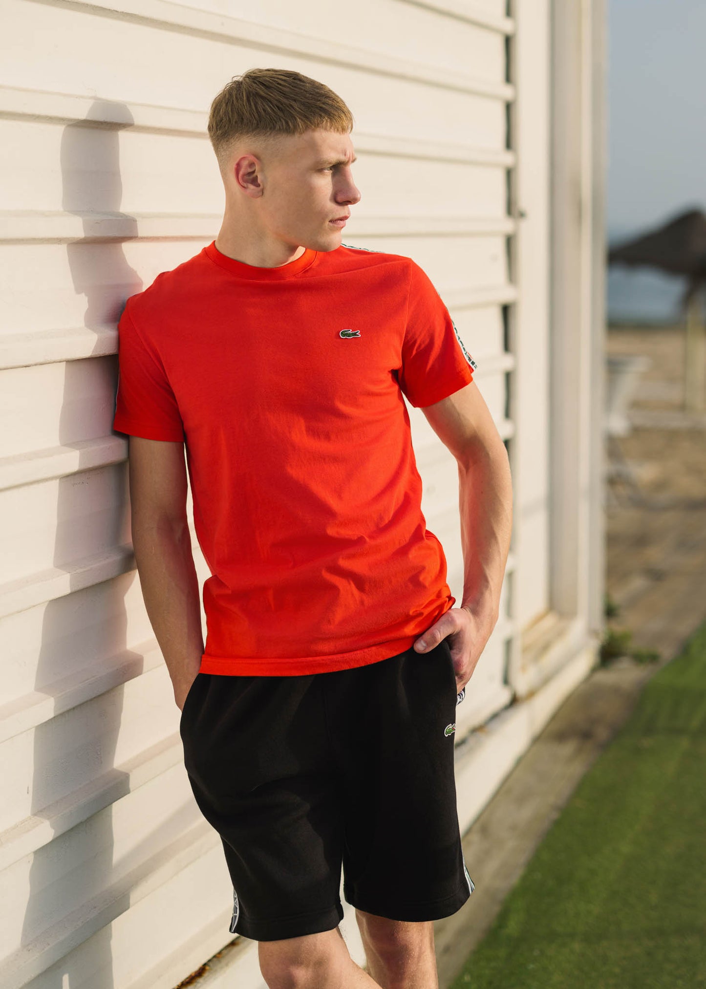 lacoste t-shirt