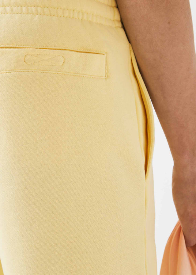 Lacoste Shorts Shorts - napolitan yellow
