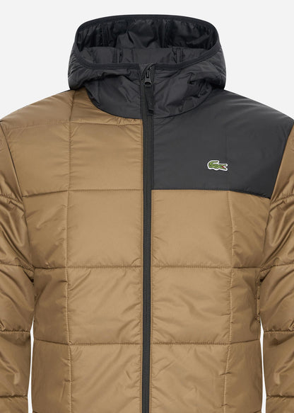 Lacoste Jassen  Puffer jacket - cookie black 