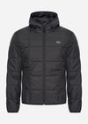 Lacoste Jassen  Puffer jacket - black black 