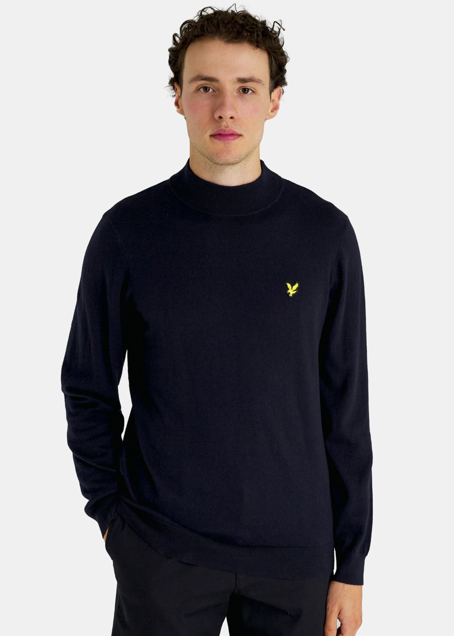 Lyle & Scott Truien  Roll neck jumper - dark navy 