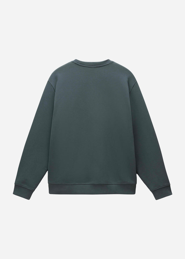 Napapijri Sweaters  Albula crewneck sweater  - green urban 