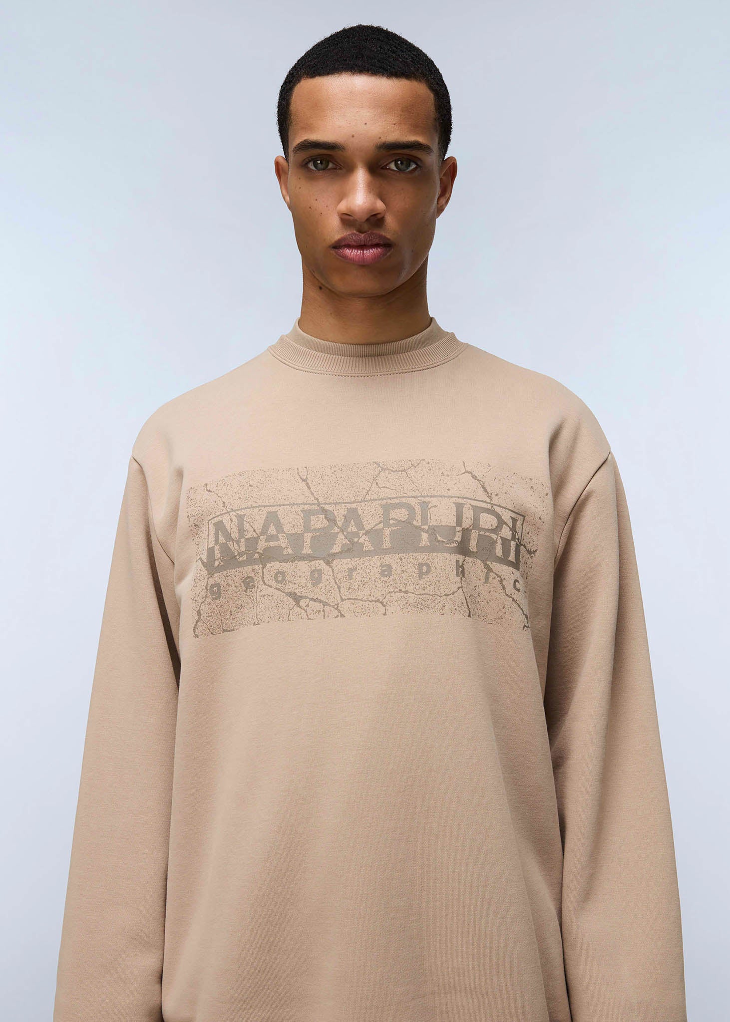 Napapijri Truien  Albula crewneck sweater  - beige rocky 