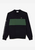 Lacoste Truien  Colorblock sweater - abysm sequoia 