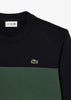 Lacoste Truien  Colorblock sweater - abysm sequoia 