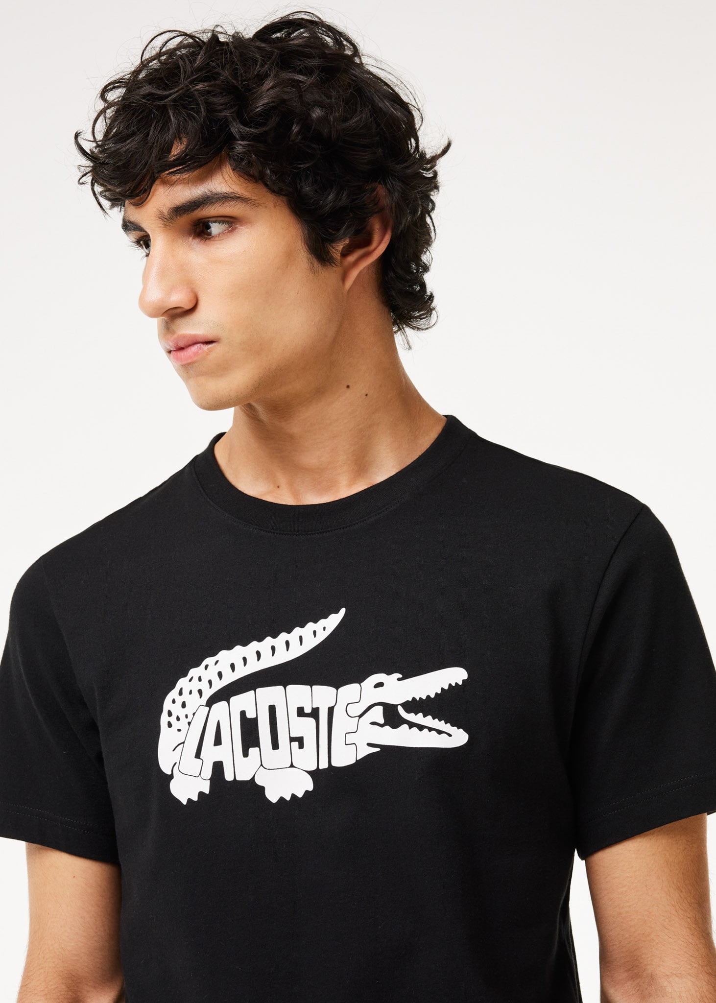 Lacoste T-shirts  Tee logo - black white 