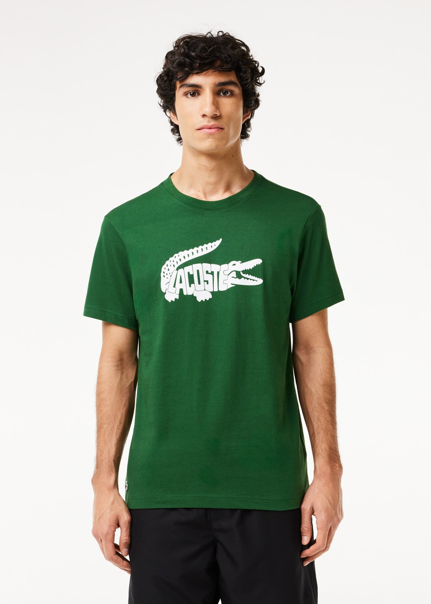 Lacoste T-shirts  Tee logo - green 