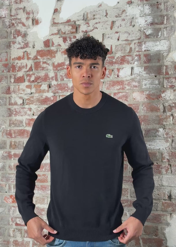 Lacoste Truien Regular fit crew neck sweater - black