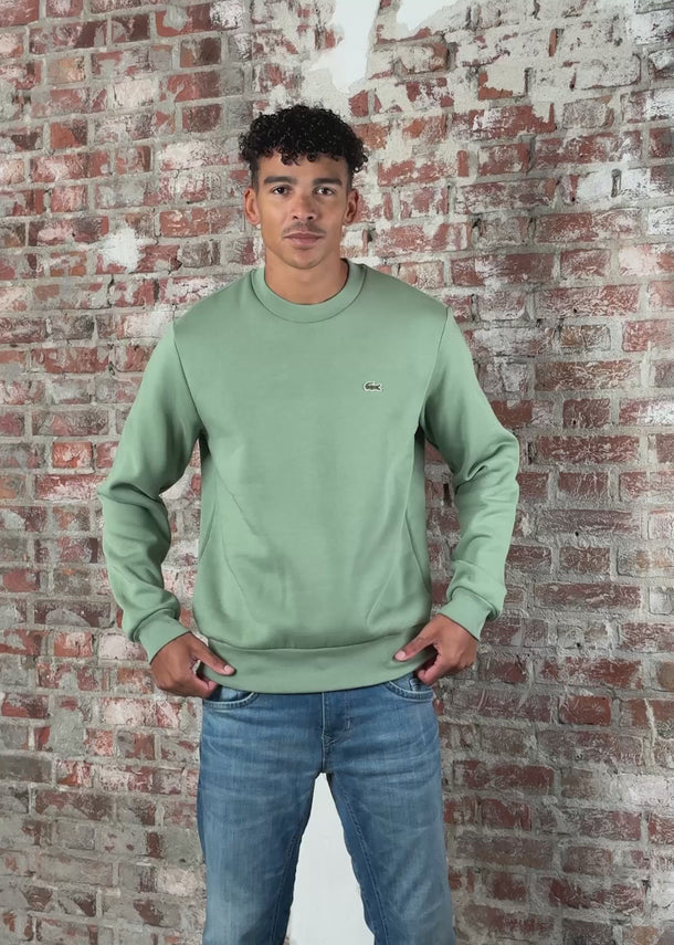 Lacoste Truien Sweater core - thyme