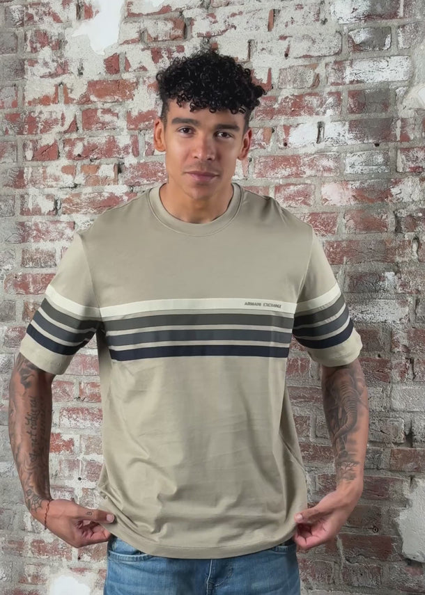 Armani Exchange T-shirts T-shirt - winter twig