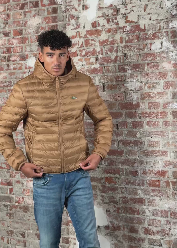 Lacoste Jassen Puffer jacket - dark tate