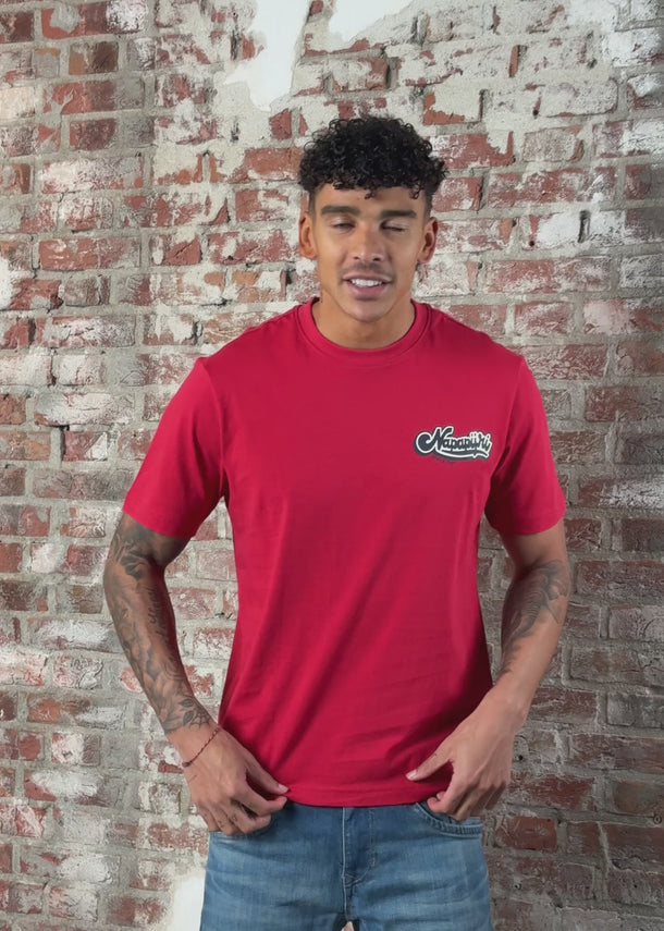 Napapijri T-shirts S zinc ss - american b