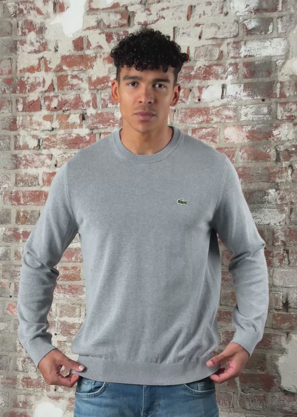 Lacoste Truien Regular fit crew neck sweater - silver chine