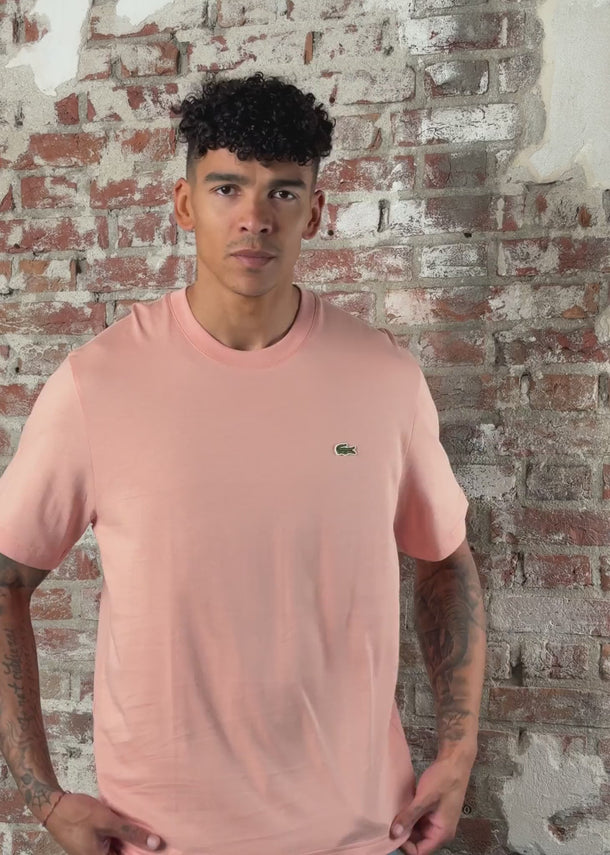 Lacoste T-shirts Cotton t-shirt - miami