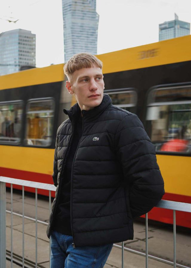 Lacoste Jackets  Wadded jacket - black black 