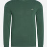 Lacoste Truien  Cotton sweater - garden green 