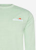 Ellesse Truien  Calendula sweatshirt - green 