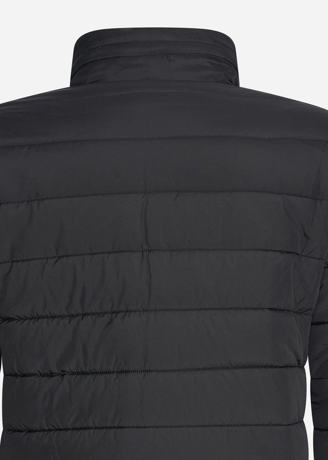 Lacoste Jackets  Wadded jacket - black black 